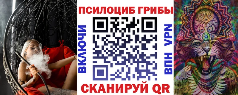 Псилоцибиновые грибы Cubensis купить наркоту Корсаков
