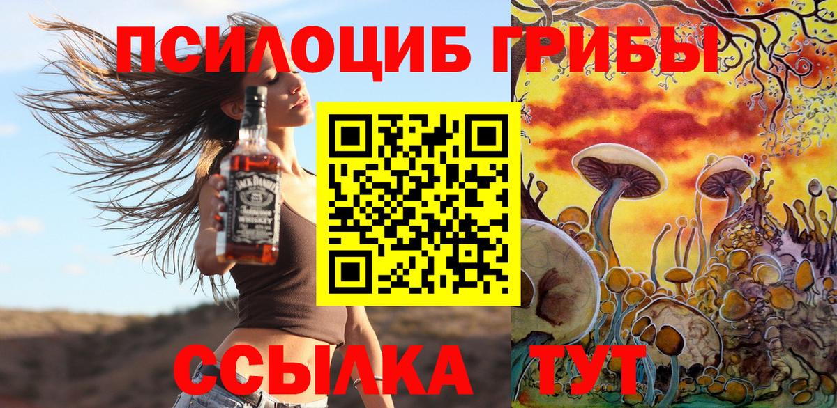 Галлюциногенные грибы Psilocybe  Вход с VPN  Корсаков 